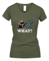 Women's V-Neck T-Shirt Women's V-Neck T-Shirt