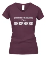 Women's V-Neck T-Shirt Women's V-Neck T-Shirt