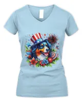 Women's V-Neck T-Shirt Women's V-Neck T-Shirt