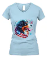 Women's V-Neck T-Shirt