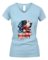 Women's V-Neck T-Shirt Women's V-Neck T-Shirt