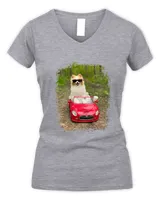 Women's V-Neck T-Shirt Women's V-Neck T-Shirt