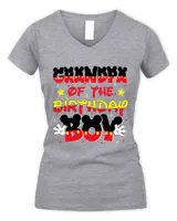 Women's V-Neck T-Shirt Women's V-Neck T-Shirt