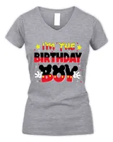 Women's V-Neck T-Shirt Women's V-Neck T-Shirt
