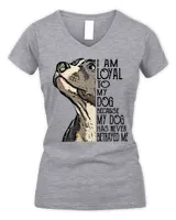 Women's V-Neck T-Shirt Women's V-Neck T-Shirt