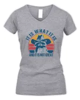 Women's V-Neck T-Shirt Women's V-Neck T-Shirt