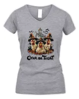 Women's V-Neck T-Shirt Women's V-Neck T-Shirt