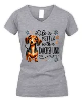 Women's V-Neck T-Shirt Women's V-Neck T-Shirt