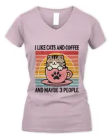 Women's V-Neck T-Shirt Women's V-Neck T-Shirt