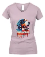 Women's V-Neck T-Shirt Women's V-Neck T-Shirt