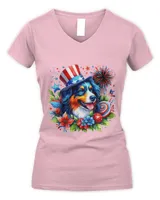 Women's V-Neck T-Shirt Women's V-Neck T-Shirt