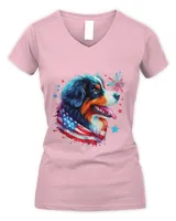 Women's V-Neck T-Shirt Women's V-Neck T-Shirt