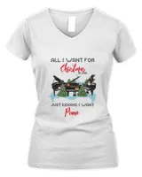 Women's V-Neck T-Shirt