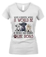 Women's V-Neck T-Shirt