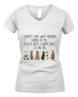 Women's V-Neck T-Shirt Women's V-Neck T-Shirt