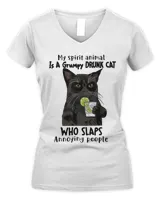 Women's V-Neck T-Shirt Women's V-Neck T-Shirt