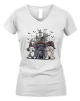 Women's V-Neck T-Shirt Women's V-Neck T-Shirt