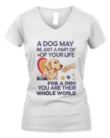 Women's V-Neck T-Shirt Women's V-Neck T-Shirt
