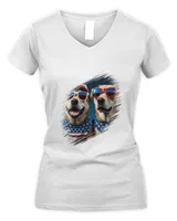 Women's V-Neck T-Shirt Women's V-Neck T-Shirt