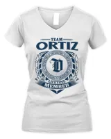 Women's V-Neck T-Shirt Women's V-Neck T-Shirt