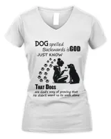 Women's V-Neck T-Shirt Women's V-Neck T-Shirt