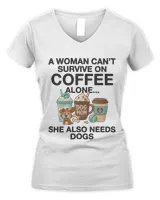 Women's V-Neck T-Shirt