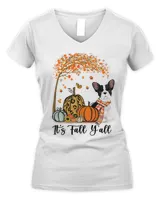 Women's V-Neck T-Shirt Women's V-Neck T-Shirt