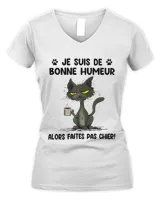 Women's V-Neck T-Shirt Women's V-Neck T-Shirt