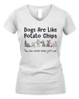 Women's V-Neck T-Shirt Women's V-Neck T-Shirt