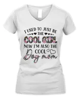 Women's V-Neck T-Shirt Women's V-Neck T-Shirt