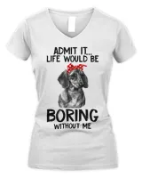 Women's V-Neck T-Shirt