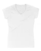 Women's V-Neck T-Shirt Women's V-Neck T-Shirt