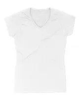 Women's V-Neck T-Shirt Women's V-Neck T-Shirt