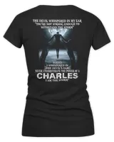 Women's V-Neck T-Shirt Women's V-Neck T-Shirt