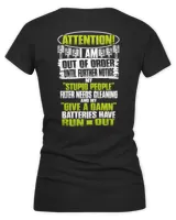 Women's V-Neck T-Shirt Women's V-Neck T-Shirt