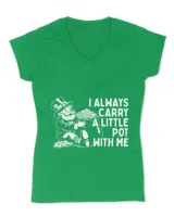 Women's V-Neck T-Shirt Women's V-Neck T-Shirt