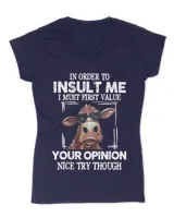 Women's V-Neck T-Shirt