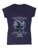Women's V-Neck T-Shirt Women's V-Neck T-Shirt