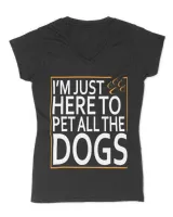 Women's V-Neck T-Shirt Women's V-Neck T-Shirt