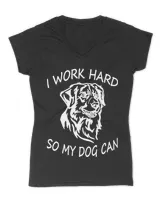 Women's V-Neck T-Shirt Women's V-Neck T-Shirt