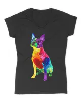 Women's V-Neck T-Shirt Women's V-Neck T-Shirt