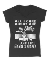 Women's V-Neck T-Shirt Women's V-Neck T-Shirt