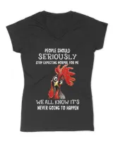 Women's V-Neck T-Shirt