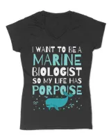 Women's V-Neck T-Shirt Women's V-Neck T-Shirt