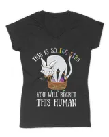 Women's V-Neck T-Shirt Women's V-Neck T-Shirt
