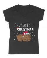 Women's V-Neck T-Shirt Women's V-Neck T-Shirt