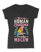 Women's V-Neck T-Shirt Women's V-Neck T-Shirt