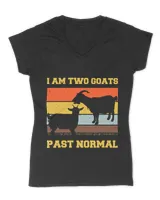 Women's V-Neck T-Shirt Women's V-Neck T-Shirt