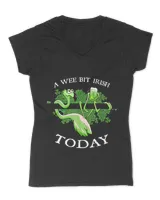 Women's V-Neck T-Shirt Women's V-Neck T-Shirt