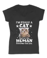 Women's V-Neck T-Shirt Women's V-Neck T-Shirt
